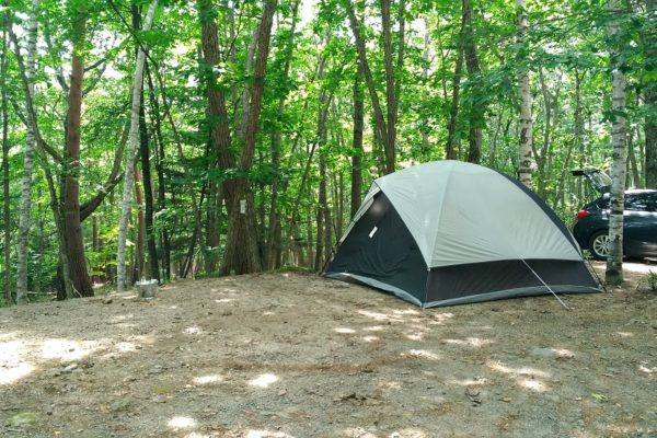 ドラフターズをキャンプで利用する方法